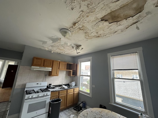 2527 W Argyle St, Chicago, IL 60625 - photo 27