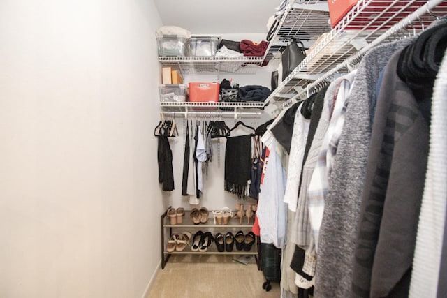 107 65th Lake Dr Unit 202, Westmont, IL 60559 - walk in closet with carpet flooring