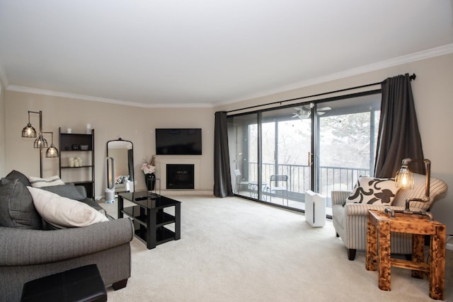 107 65th Lake Dr Unit 202, Westmont, IL 60559 - living room featuring ornamental molding, light carpet, and a fireplace