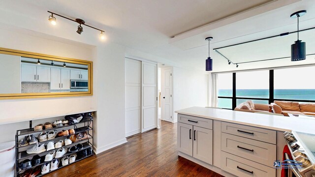 910 N Lake Shore Dr Unit 2317, Chicago, IL 60611 - kitchen with stainless steel appliances, track lighting, dark wood-type flooring, pendant lighting, and light countertops