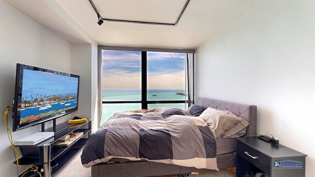 910 N Lake Shore Dr Unit 2317, Chicago, IL 60611 - carpeted bedroom featuring a wall of windows
