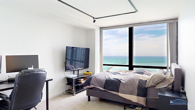 910 N Lake Shore Dr Unit 2317, Chicago, IL 60611 - view of carpeted bedroom