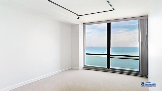 910 N Lake Shore Dr Unit 2317, Chicago, IL 60611 - carpeted empty room with baseboards and a water view