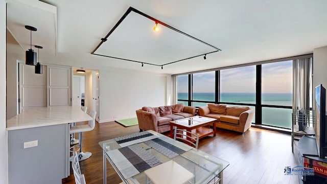 910 N Lake Shore Dr Unit 2317, Chicago, IL 60611 - living area with expansive windows, healthy amount of natural light, dark wood-style flooring, and a water view