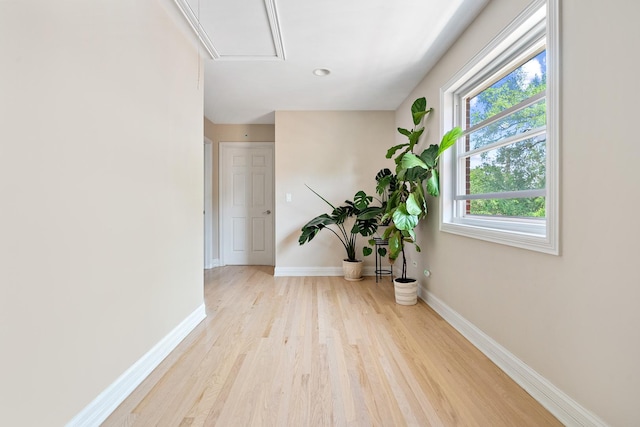 3638 N Odell Ave, Chicago, IL 60634 - photo 28
