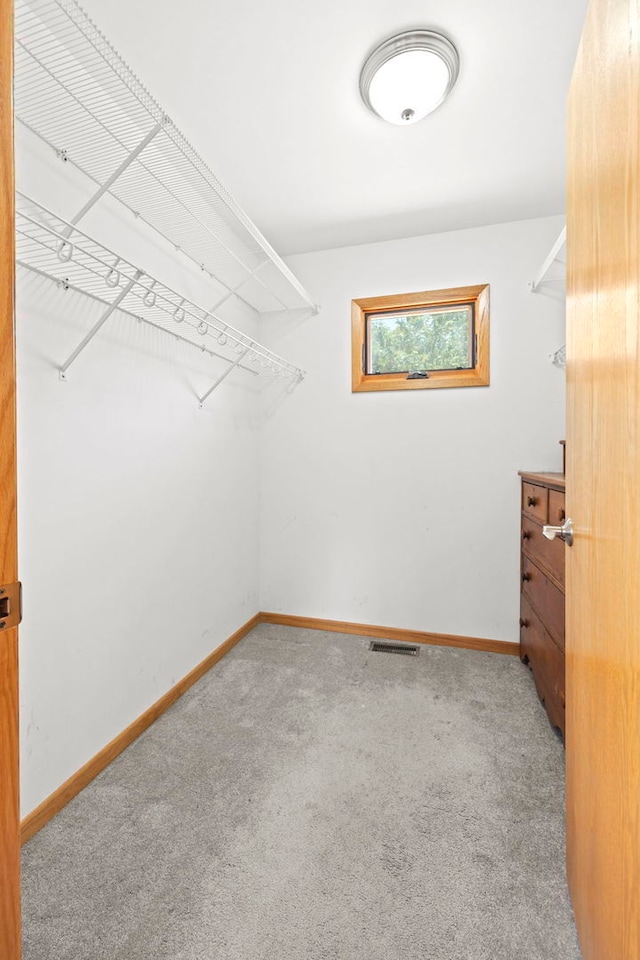 712 S Finley Rd, Lombard, IL 60148 - spacious closet with carpet flooring