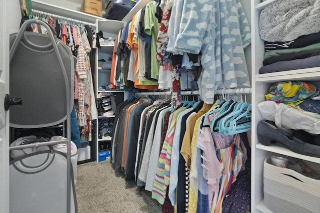 78 Holmes Way Unit W1, Schaumburg, IL 60193 - spacious closet featuring carpet floors
