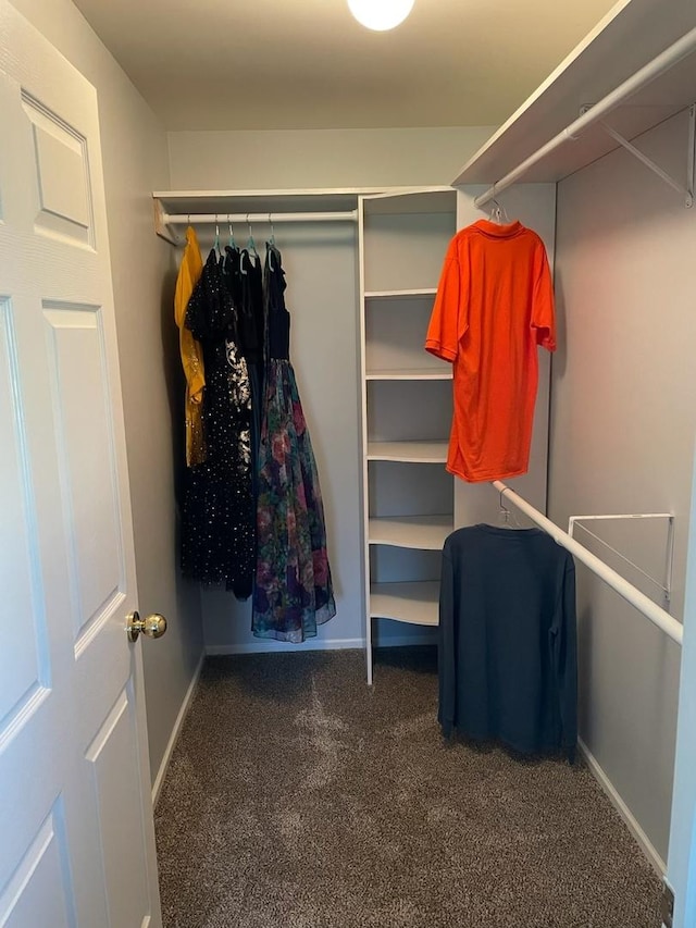 78 Holmes Way Unit W1, Schaumburg, IL 60193 - spacious closet with carpet floors