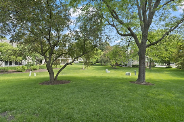 78 Holmes Way Unit W1, Schaumburg, IL 60193 - view of grassy yard