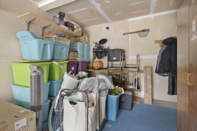 78 Holmes Way Unit W1, Schaumburg, IL 60193 - view of storage