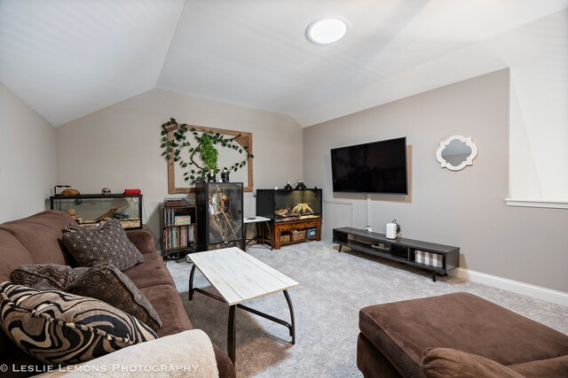 565 Sudbury Cir Unit 0, Oswego, IL 60543 - living room with carpet flooring and vaulted ceiling