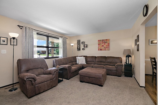 400 W Adams St, Danforth, IL 60930 - carpeted living area featuring baseboards