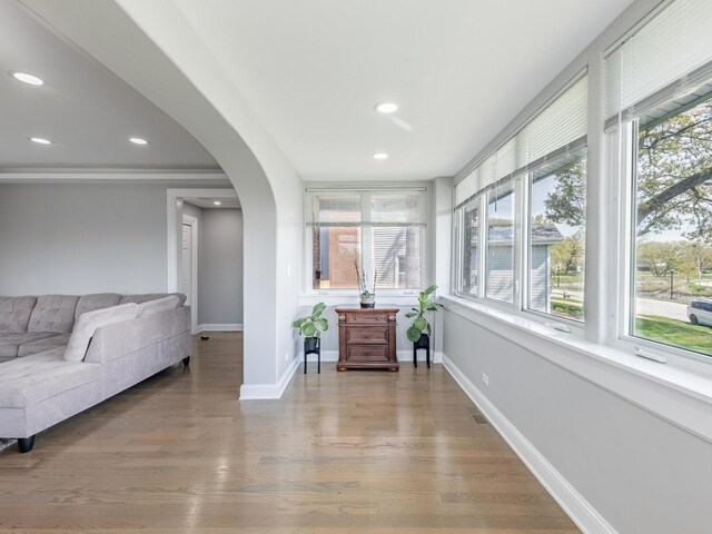 9712 W Shore Dr, Oak Lawn, IL 60453 - sunroom featuring healthy amount of natural light and arched walkways