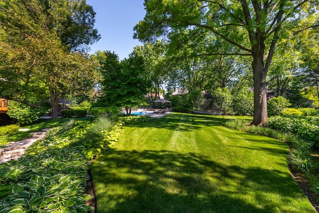 1091 Johnson Dr, Naperville, IL 60540 - view of green lawn
