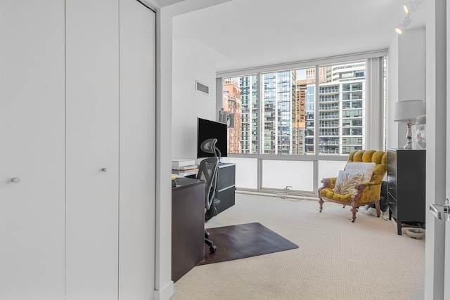 8 E Randolph St Unit 1401, Chicago, IL 60601 - view of carpeted home office