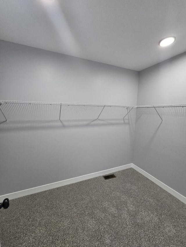 8620 S Normal Ave, Chicago, IL 60620 - walk in closet with carpet flooring