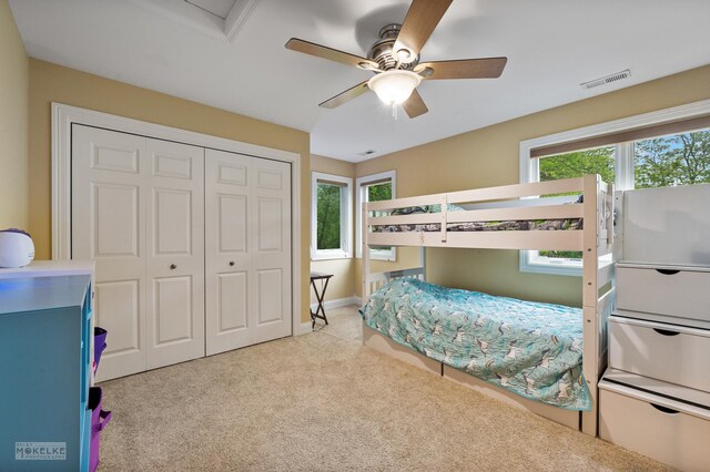7S745 State Route 53rd Hwy, Naperville, IL 60540 - carpeted bedroom with a closet and a ceiling fan