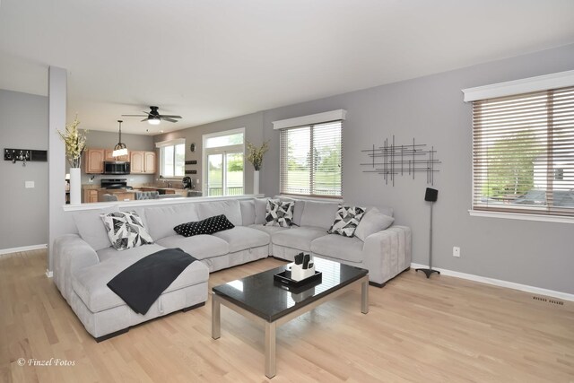 2012 Spring Creek Ln, Mchenry, IL 60050 - living room featuring light wood-type flooring and a ceiling fan