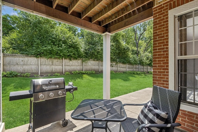909 Ann Arbor Ln Unit A, Vernon Hills, IL 60061 - fenced backyard with grilling area and a patio area