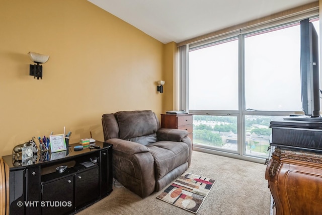 1841 S Calumet Ave Unit 1304, Chicago, IL 60616 - view of carpeted living area
