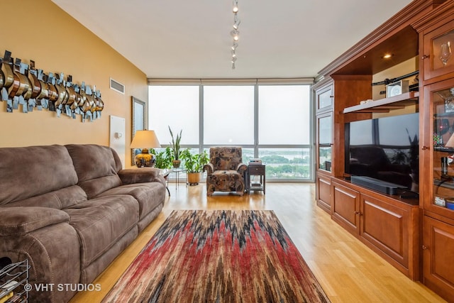 1841 S Calumet Ave Unit 1304, Chicago, IL 60616 - living room featuring light wood finished floors, expansive windows, and track lighting