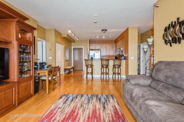 1841 S Calumet Ave Unit 1304, Chicago, IL 60616 - living room featuring light wood-style flooring and track lighting