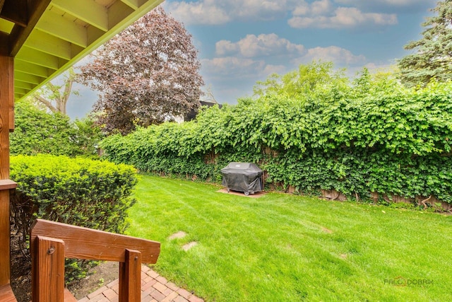 2120 Wilmette Ave, Wilmette, IL 60091 - view of grassy yard