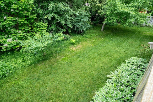 212 Rebecca Ln, Normal, IL 61761 - view of yard