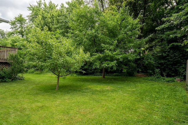 212 Rebecca Ln, Normal, IL 61761 - view of grassy yard