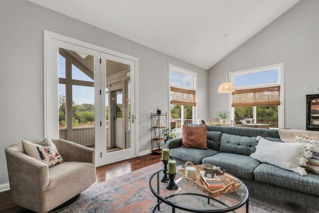 17526 W Windhaven Ct, Grayslake, IL 60030 - living room with dark wood finished floors and high vaulted ceiling