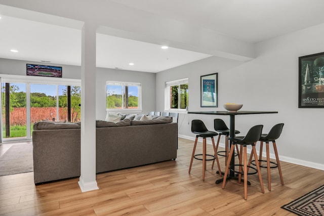 17526 W Windhaven Ct, Grayslake, IL 60030 - living room featuring light wood-style flooring and recessed lighting