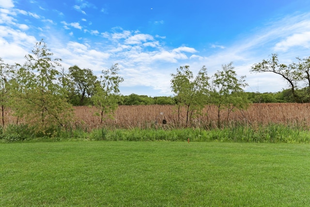 17526 W Windhaven Ct, Grayslake, IL 60030 - view of green lawn