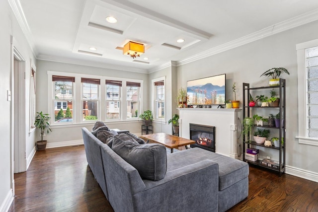 5639 W Cornelia Ave, Chicago, IL 60634 - living area featuring dark wood-style flooring, a glass covered fireplace, crown molding, and recessed lighting