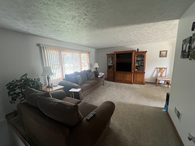 24005 S Green Heron Dr, Channahon, IL 60410 - carpeted living area with a textured ceiling