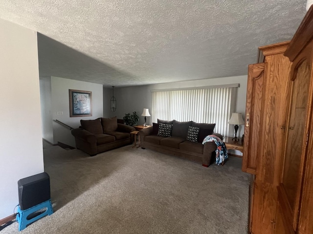 24005 S Green Heron Dr, Channahon, IL 60410 - living room featuring carpet and a textured ceiling