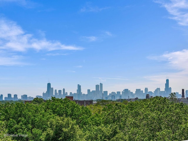 4030 N California Ave Unit 3, Chicago, IL 60618 - view of city skyline