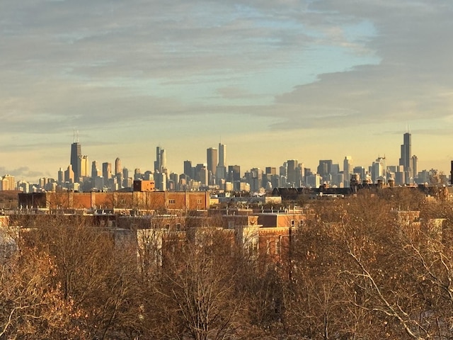 4030 N California Ave Unit 3, Chicago, IL 60618 - view of city skyline