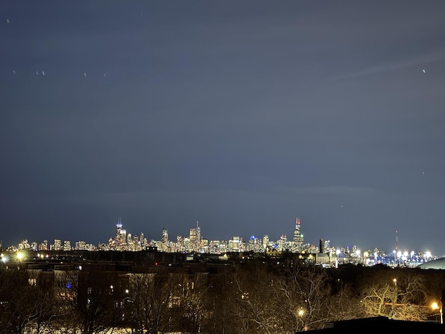 4030 N California Ave Unit 3, Chicago, IL 60618 - view of city with a view of city lights