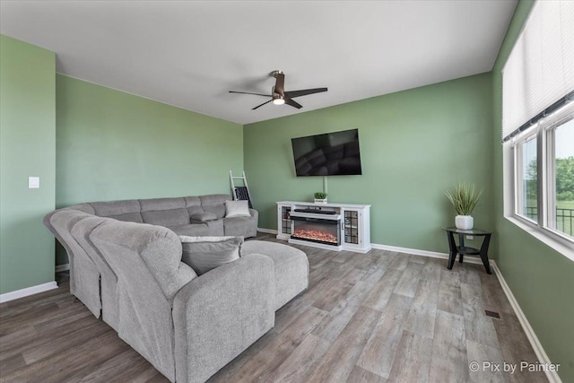 1360 Vineyard Ln, Pingree Grove, IL 60140 - living room featuring ceiling fan, wood finished floors, and a glass covered fireplace