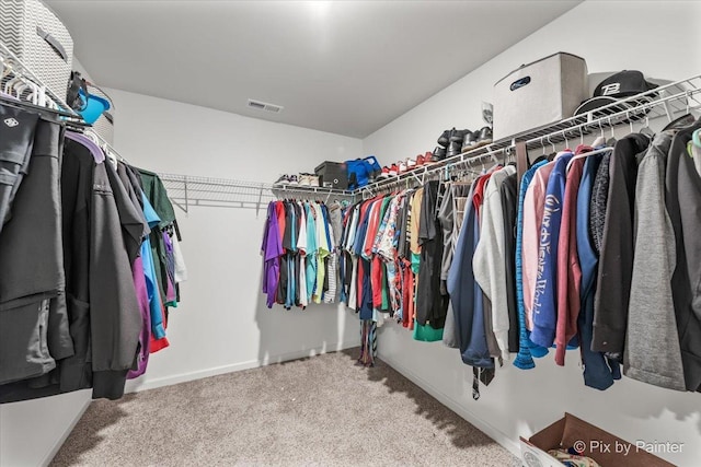 1360 Vineyard Ln, Pingree Grove, IL 60140 - spacious closet with carpet floors