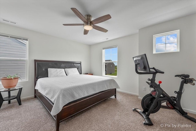 1360 Vineyard Ln, Pingree Grove, IL 60140 - carpeted bedroom with baseboards and a ceiling fan