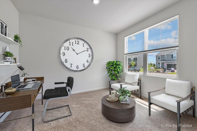 1360 Vineyard Ln, Pingree Grove, IL 60140 - home office with carpet flooring and baseboards