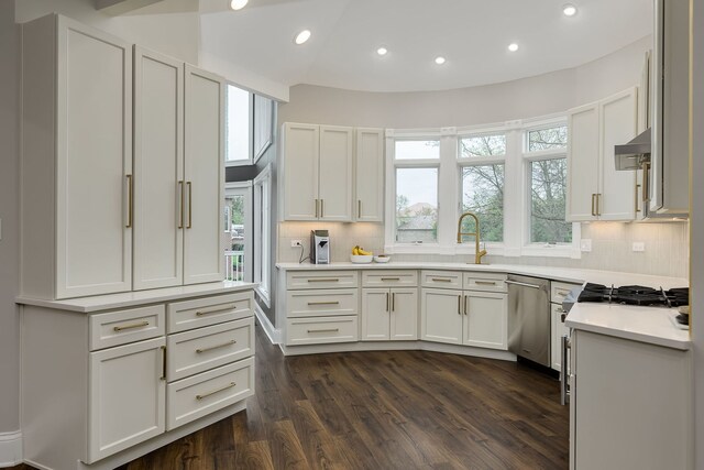 7 Loblolly Ct, Lemont, IL 60439 - kitchen with appliances with stainless steel finishes, dark wood-style floors, recessed lighting, and decorative backsplash