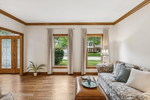 1909 Bridle Ct, Saint Charles, IL 60174 - living area featuring crown molding and wood finished floors
