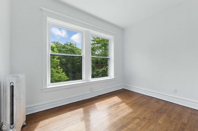 1235 E 53rd St Unit 3, Chicago, IL 60615 - empty room featuring radiator heating unit and wood finished floors