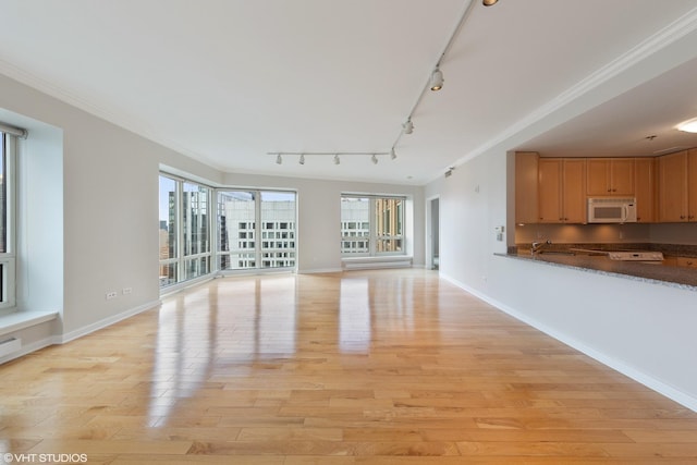 57 E Delaware Pl Unit 2901, Chicago, IL 60611 - unfurnished living room featuring plenty of natural light, rail lighting, light wood-type flooring, and ornamental molding