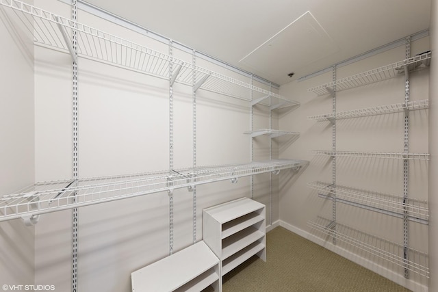 57 E Delaware Pl Unit 2901, Chicago, IL 60611 - spacious closet featuring carpet