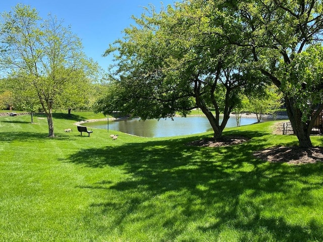 1340 Mcdowell Rd Unit 201, Naperville, IL 60563 - view of property's community with a water view and a yard