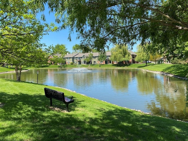 1340 Mcdowell Rd Unit 201, Naperville, IL 60563 - water view