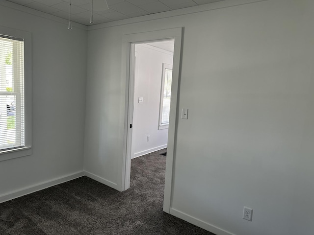 1453 S Oak Ave, Freeport, IL 61032 - spare room with healthy amount of natural light and dark colored carpet